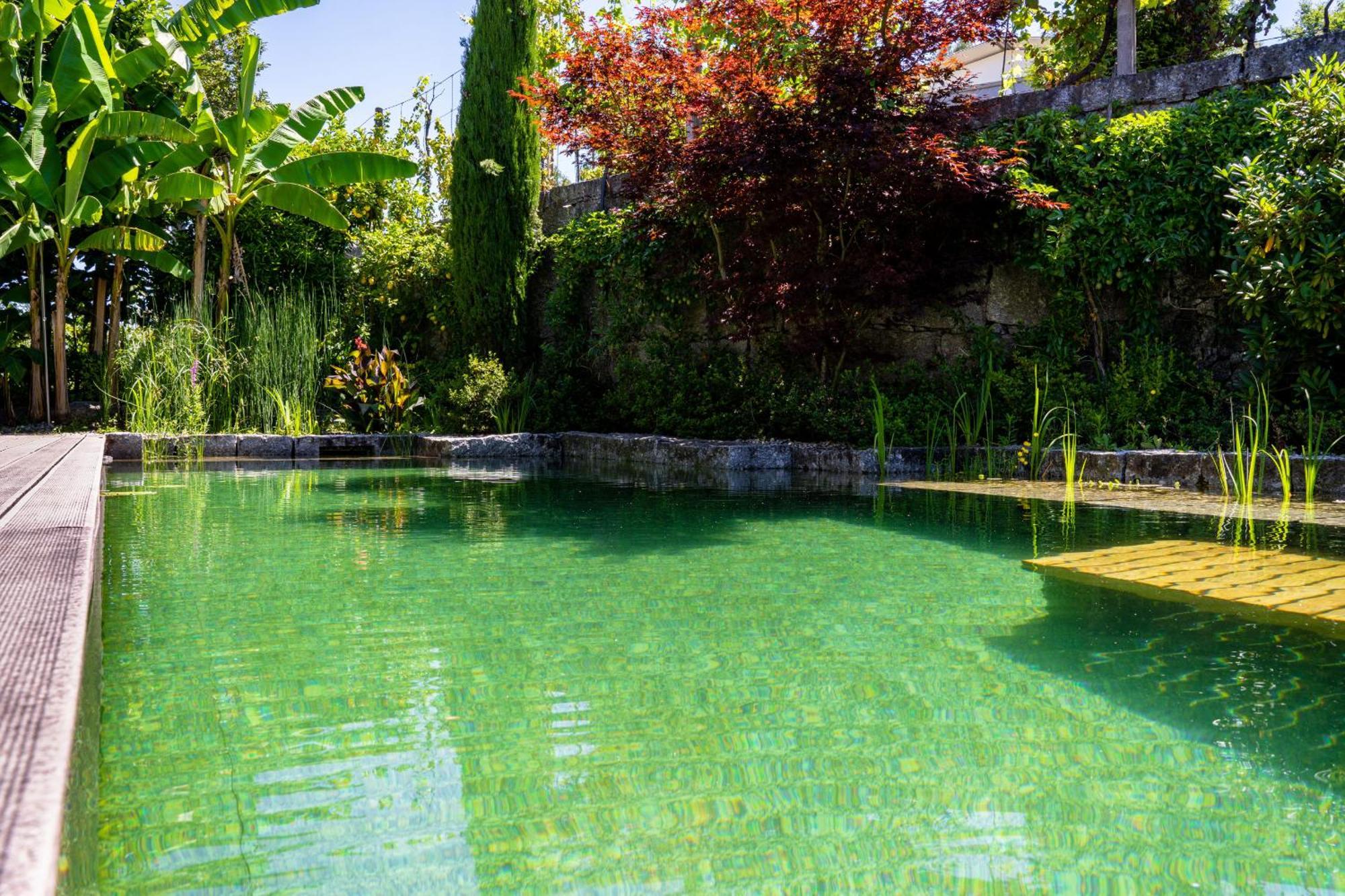 Gondomar Guimaraes - Moradia V3 Com Piscina Natural By House And People Εξωτερικό φωτογραφία